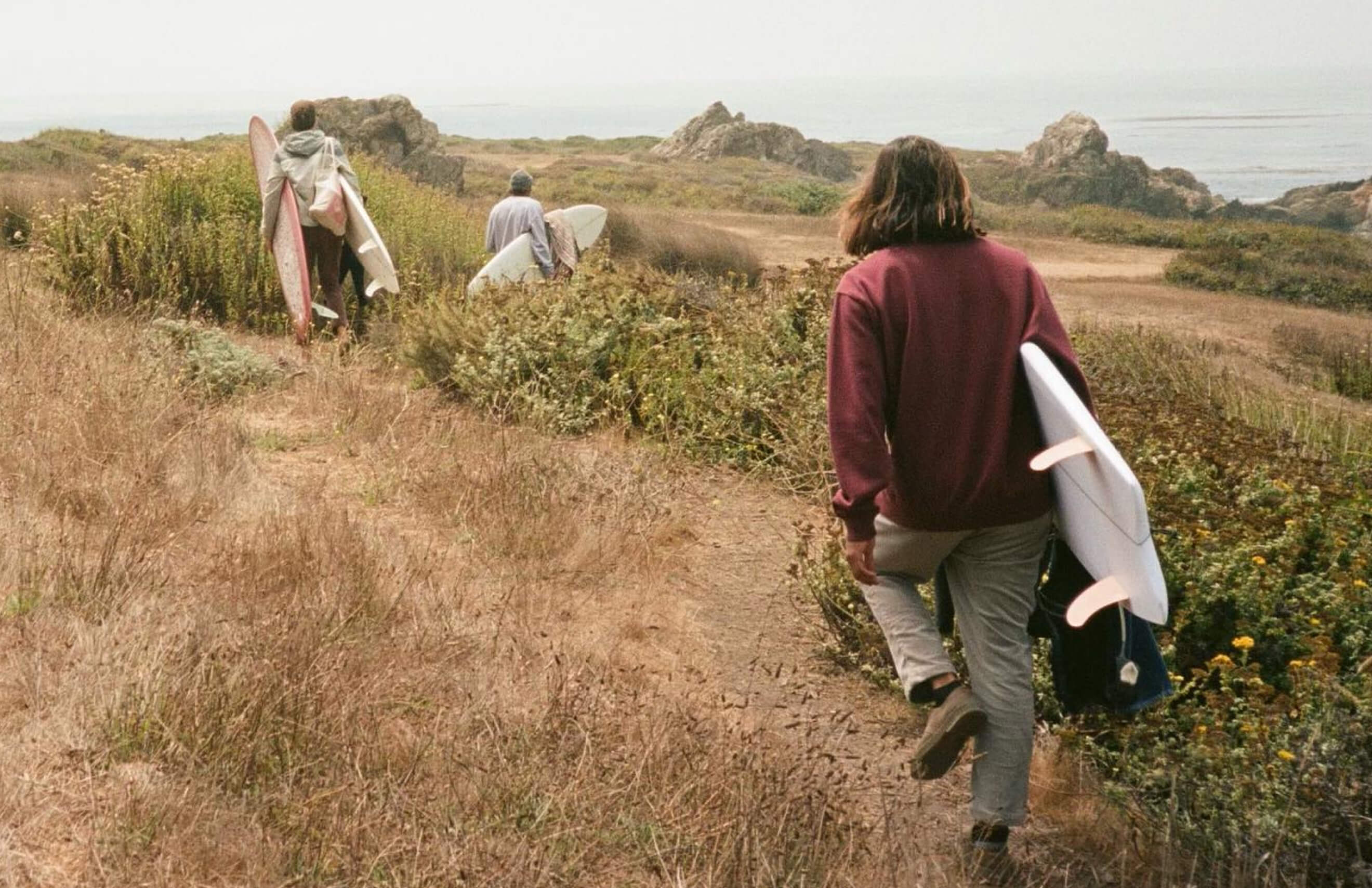 Long Read: Eco System Design Principles